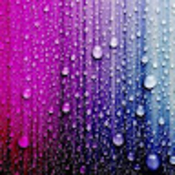 Meet your Posher, Rachelli - Picture 1 of 1